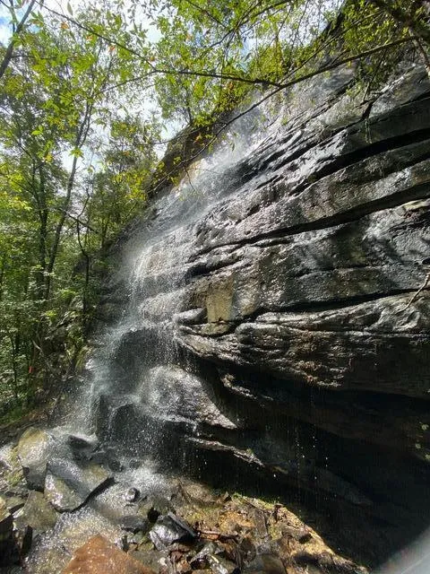 104 Sunrise Trail Pikeville, TN 37367