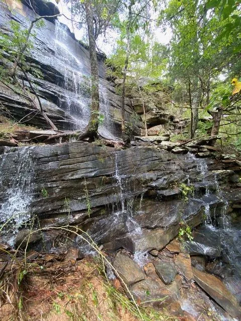 104 Sunrise Trail Pikeville, TN 37367