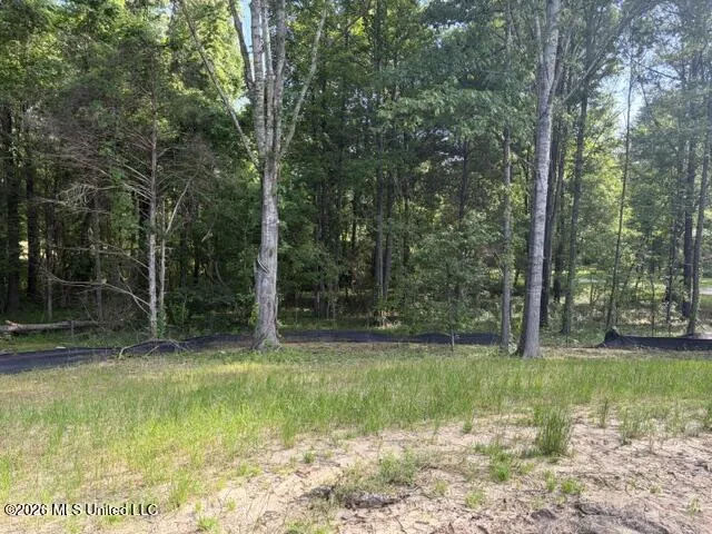 112 Crosswind Drive Flora, MS 39071
