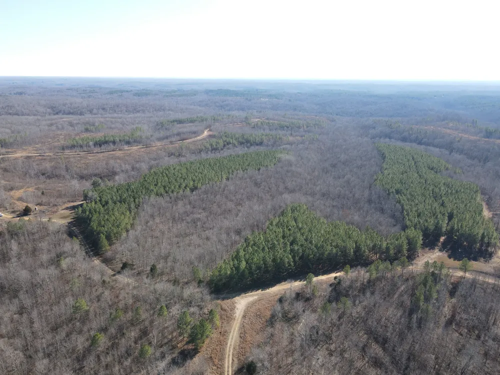 0 North Fork Stewart, TN 37175