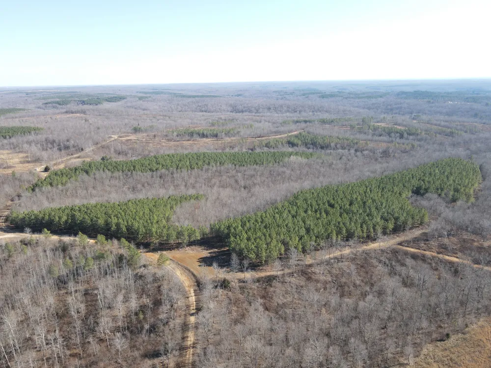 0 North Fork Stewart, TN 37175