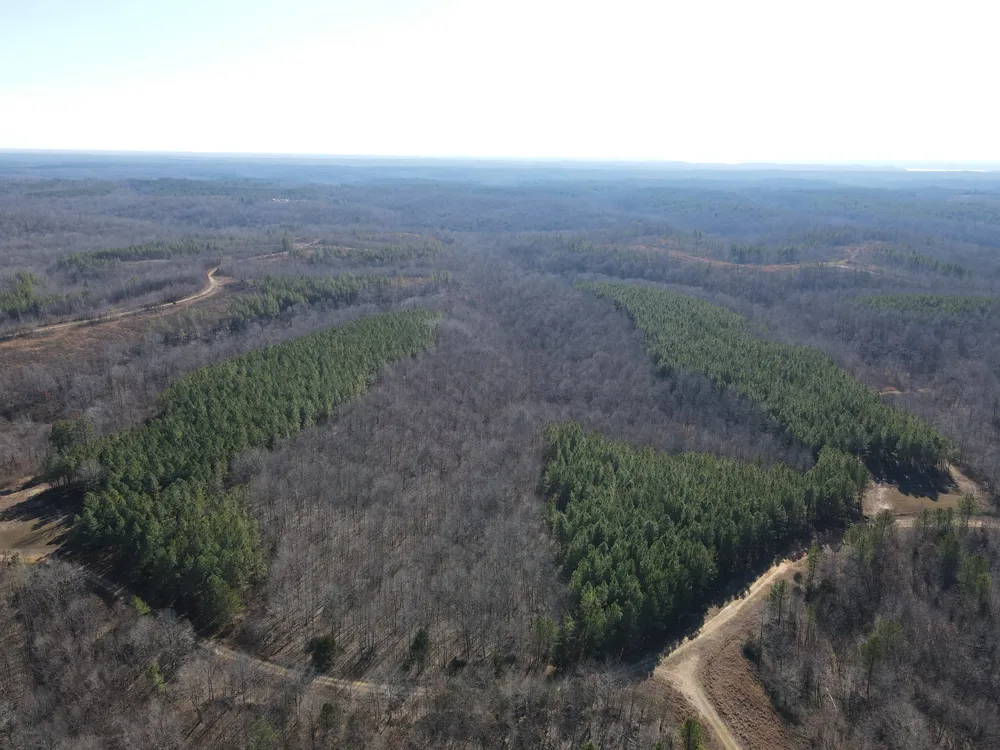 0 North Fork Stewart, TN 37175