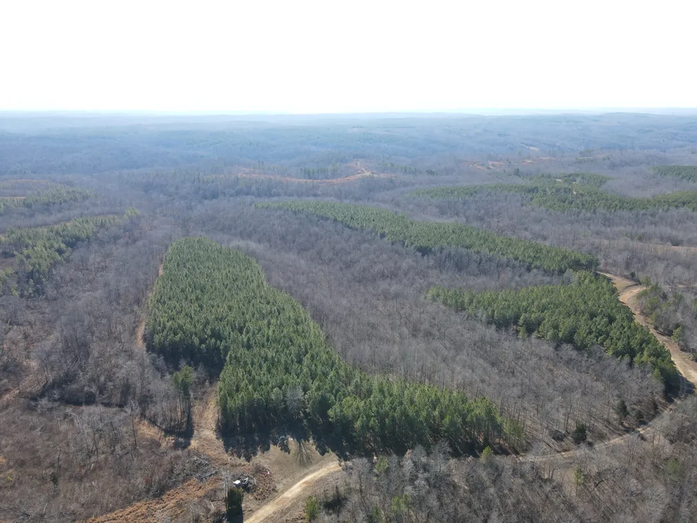 0 North Fork Stewart, TN 37175