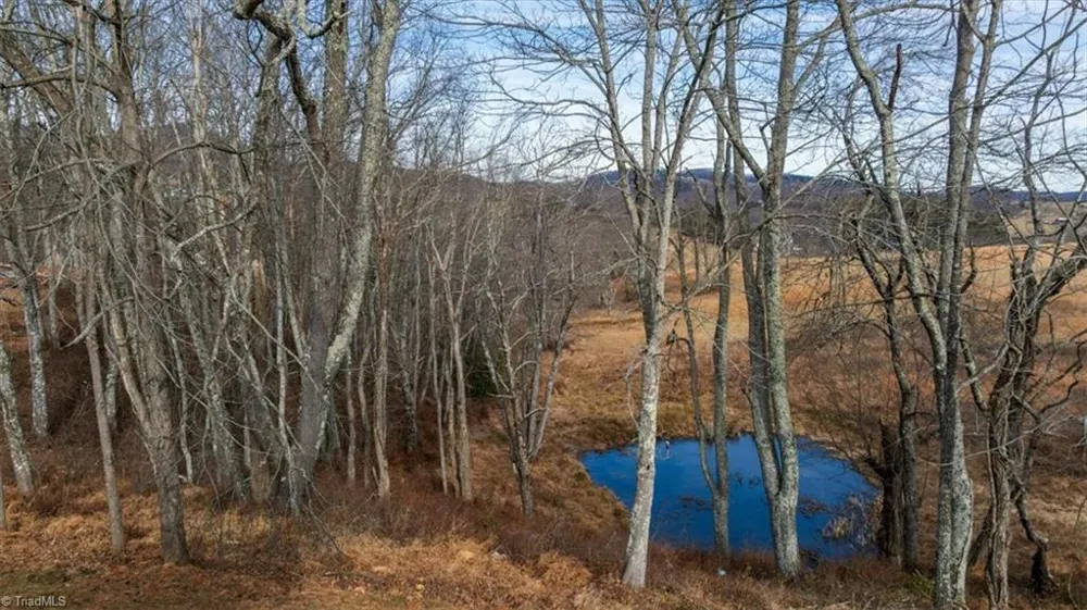 20 Busic Ridge Sparta, NC 28675
