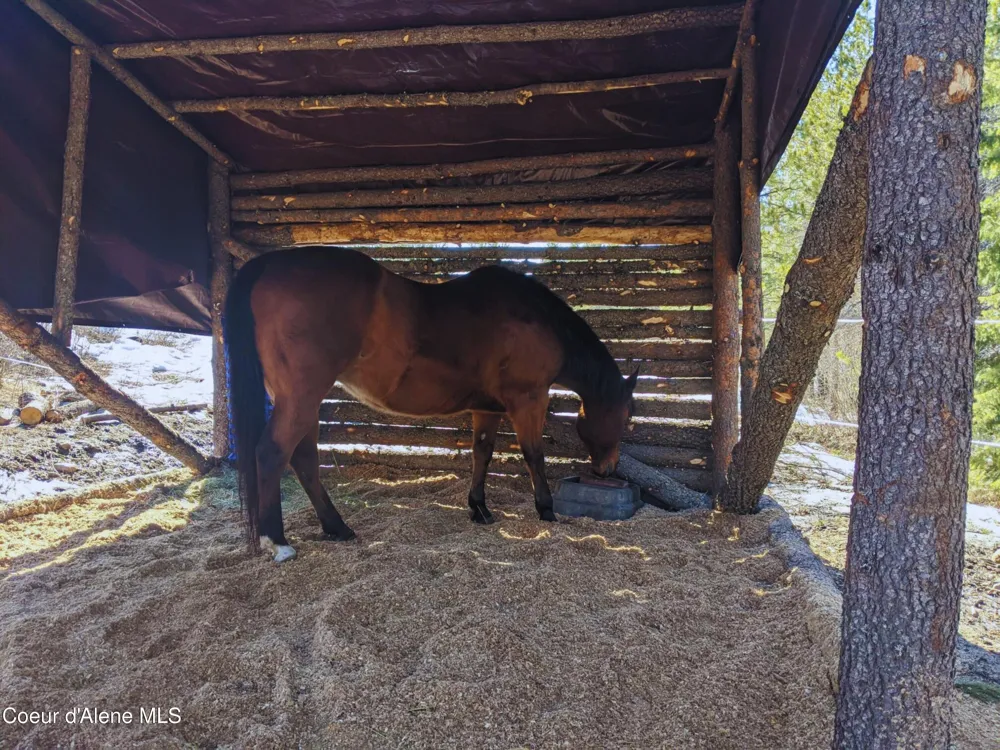 34517 Hayden Drive Spirit Lake, ID 83869