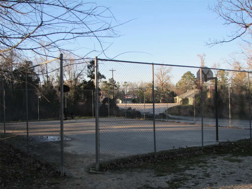 461 Lagoon Drive Point Blank, TX 77364
