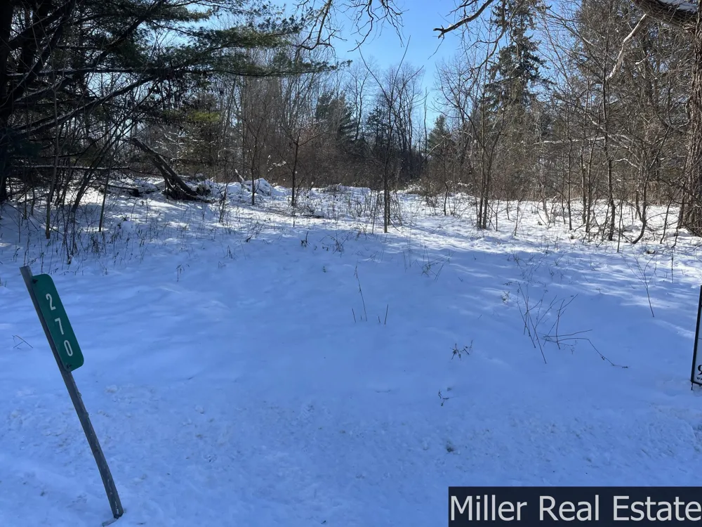 270 S M-37 Highway Hastings, MI 49058