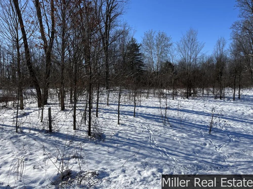 364 S M-37 Highway Hastings, MI 49058