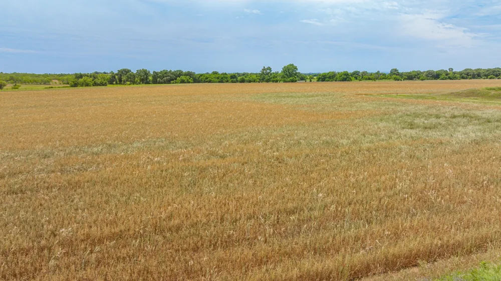 351 Highway 2318 De Leon, TX 76444