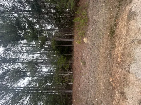 169 Hwy 220 E