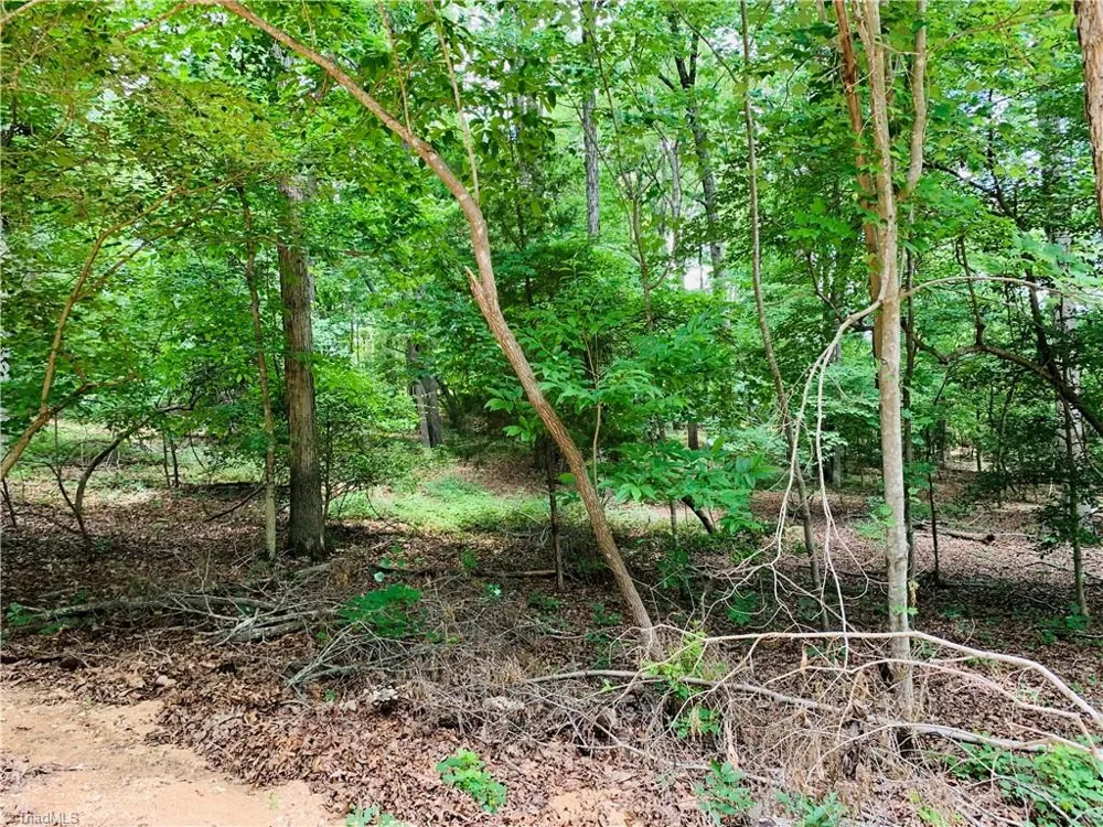 141/142 Western Trail Carthage, NC 28327
