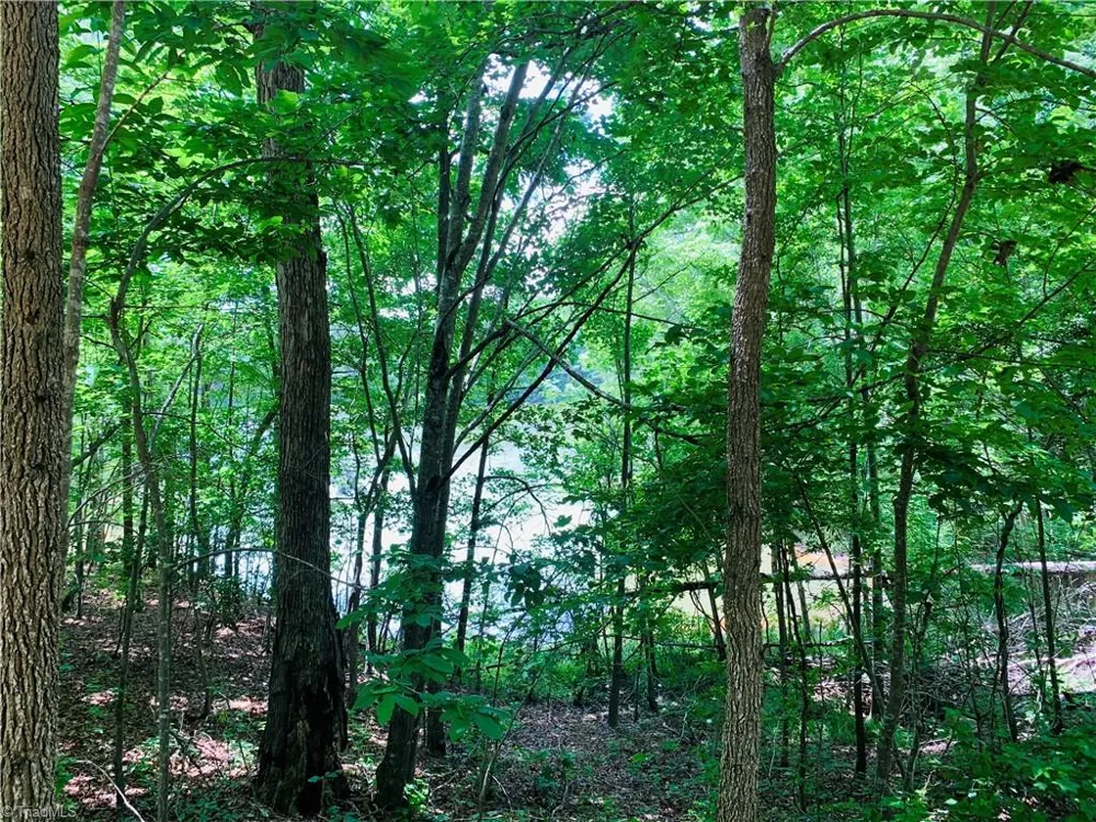 141/142 Western Trail Carthage, NC 28327