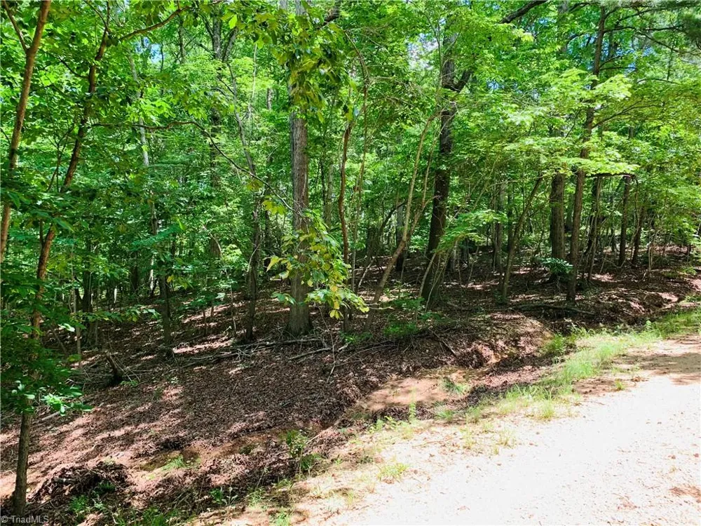141/142 Western Trail Carthage, NC 28327