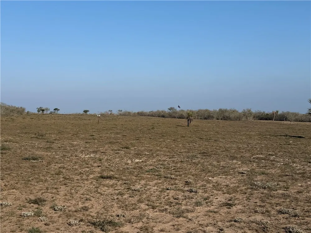 188 Quail Drive George West, TX 78022