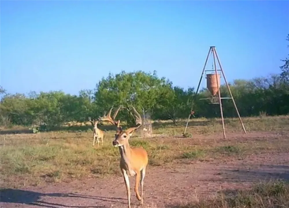 188 Quail Drive George West, TX 78022