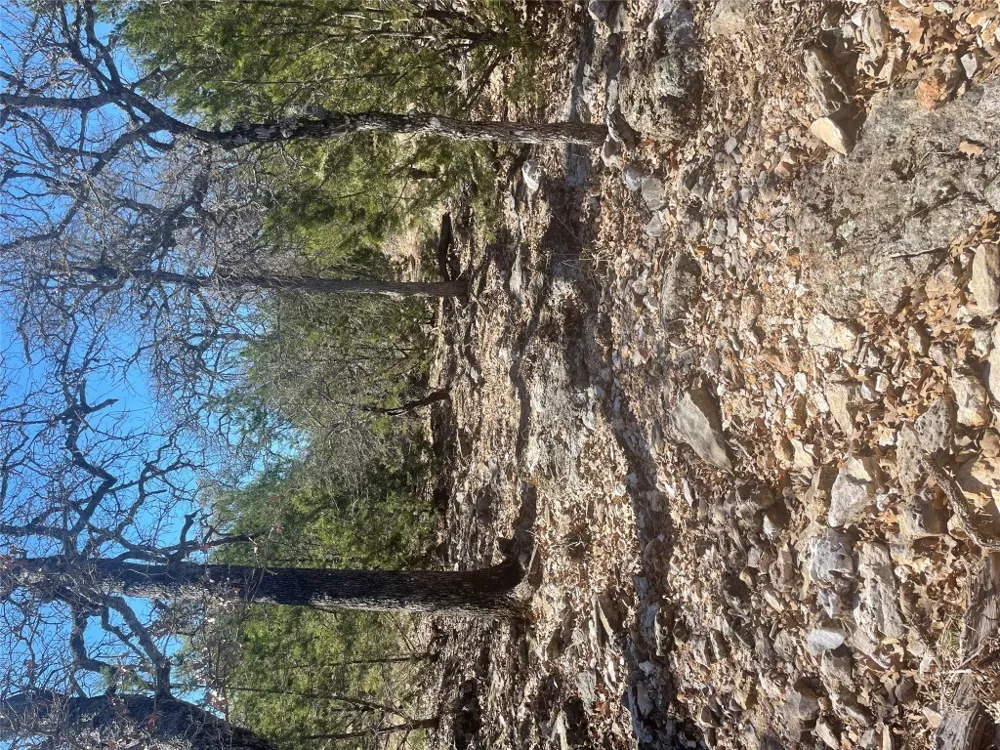 Address Not Shown San Saba, TX 76877