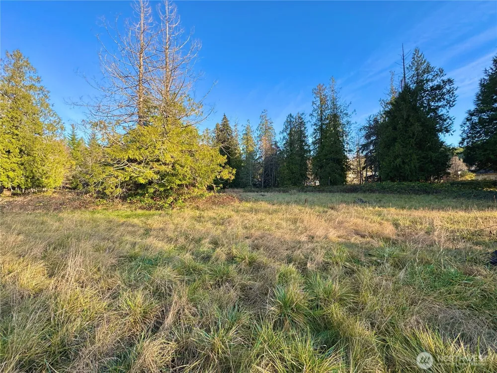 25 NE Roy Boad Road Belfair, WA 98528