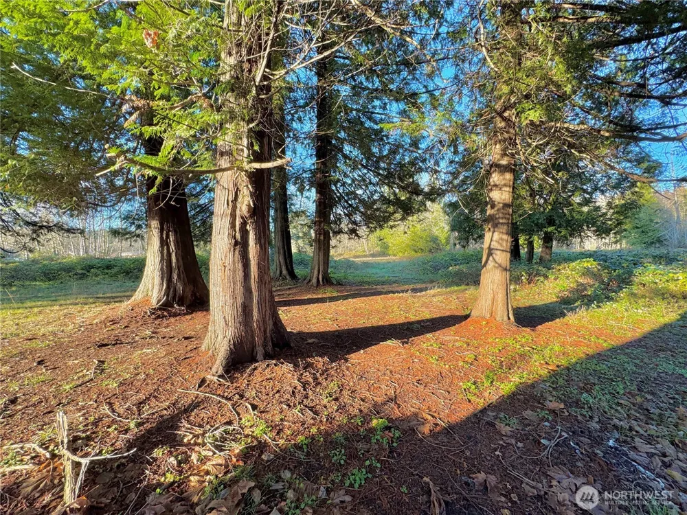 25 NE Roy Boad Road Belfair, WA 98528