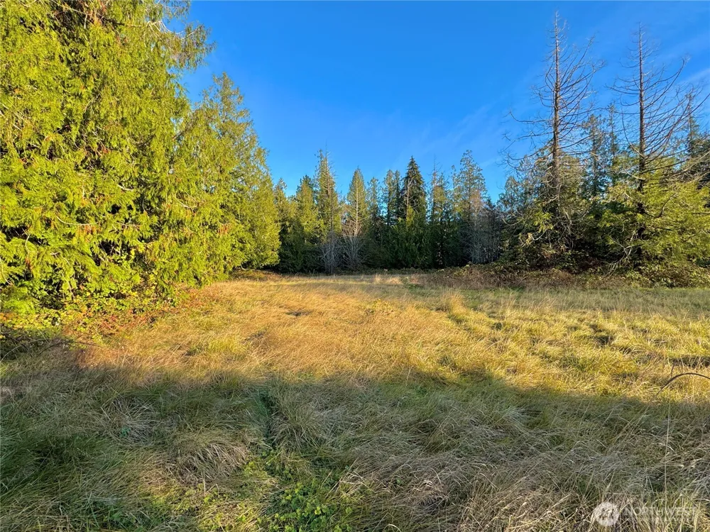 25 NE Roy Boad Road Belfair, WA 98528