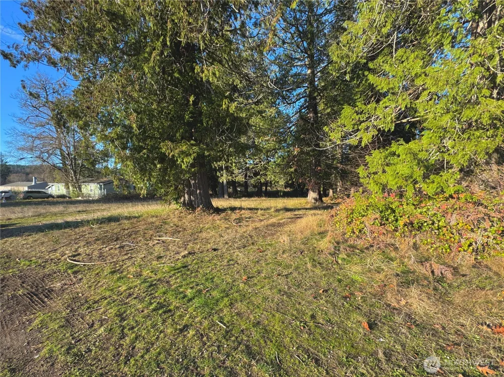25 NE Roy Boad Road Belfair, WA 98528