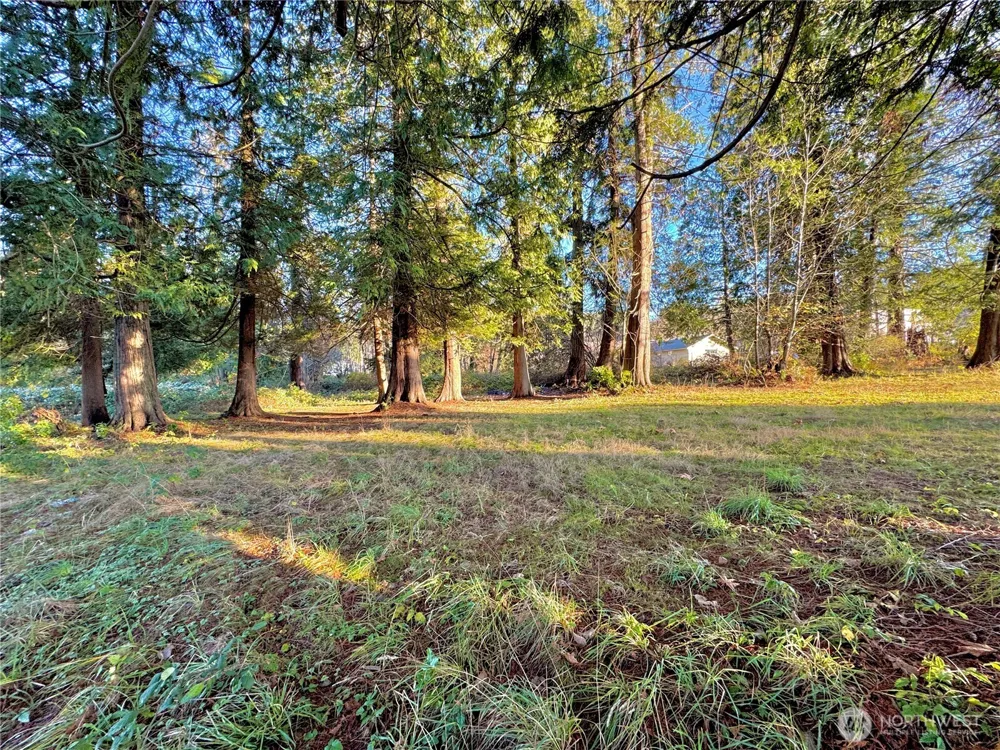 25 NE Roy Boad Road Belfair, WA 98528