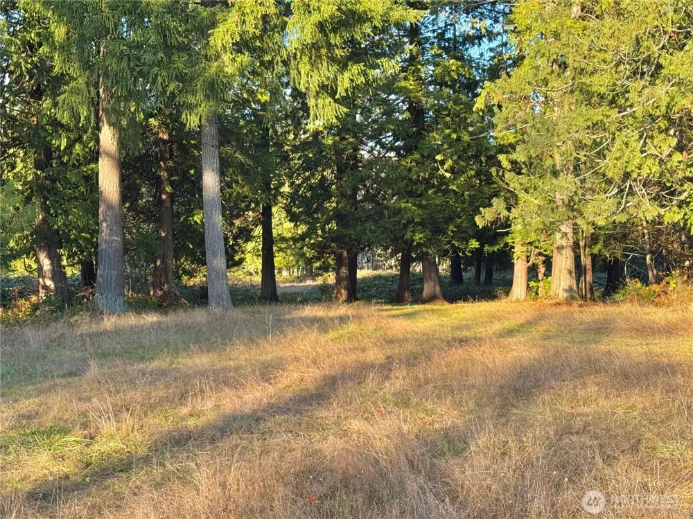 25 NE Roy Boad Road Belfair, WA 98528