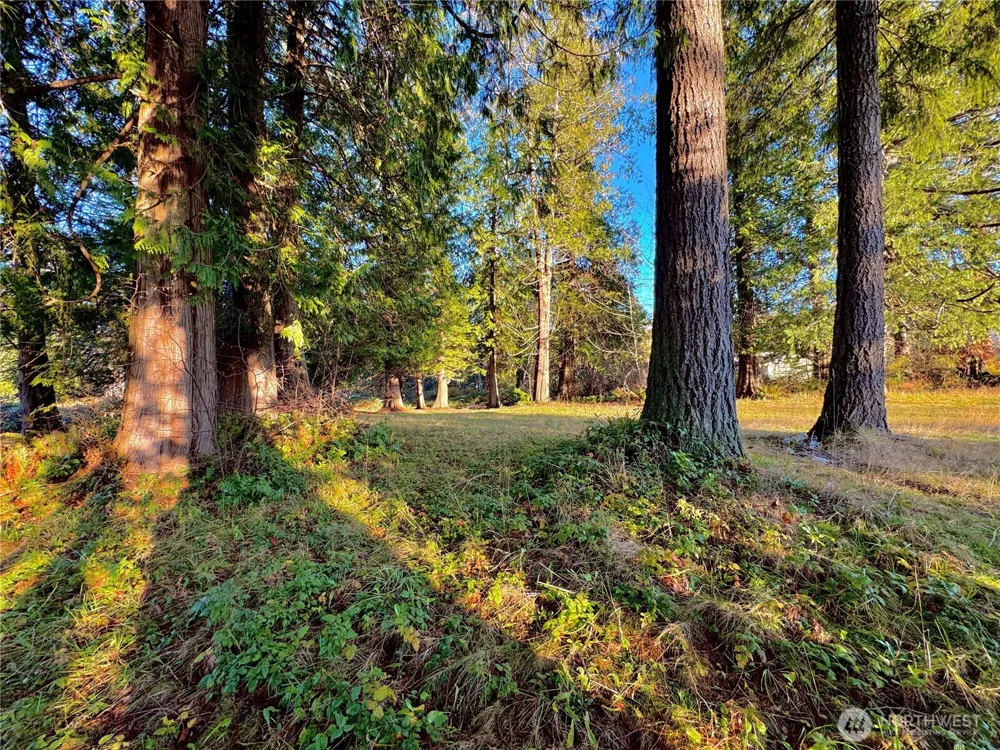 25 NE Roy Boad Road Belfair, WA 98528
