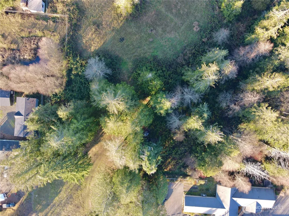 25 NE Roy Boad Road Belfair, WA 98528