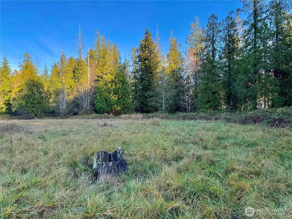 25 NE Roy Boad Road Belfair, WA 98528