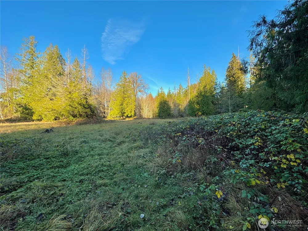 25 NE Roy Boad Road Belfair, WA 98528