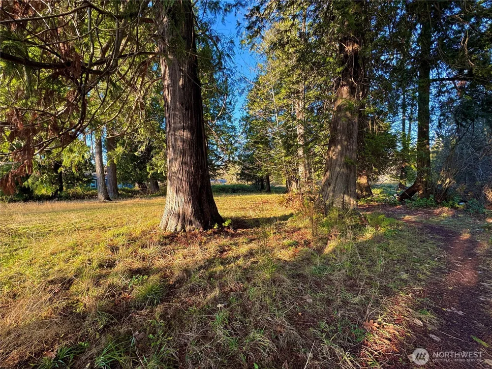 25 NE Roy Boad Road Belfair, WA 98528