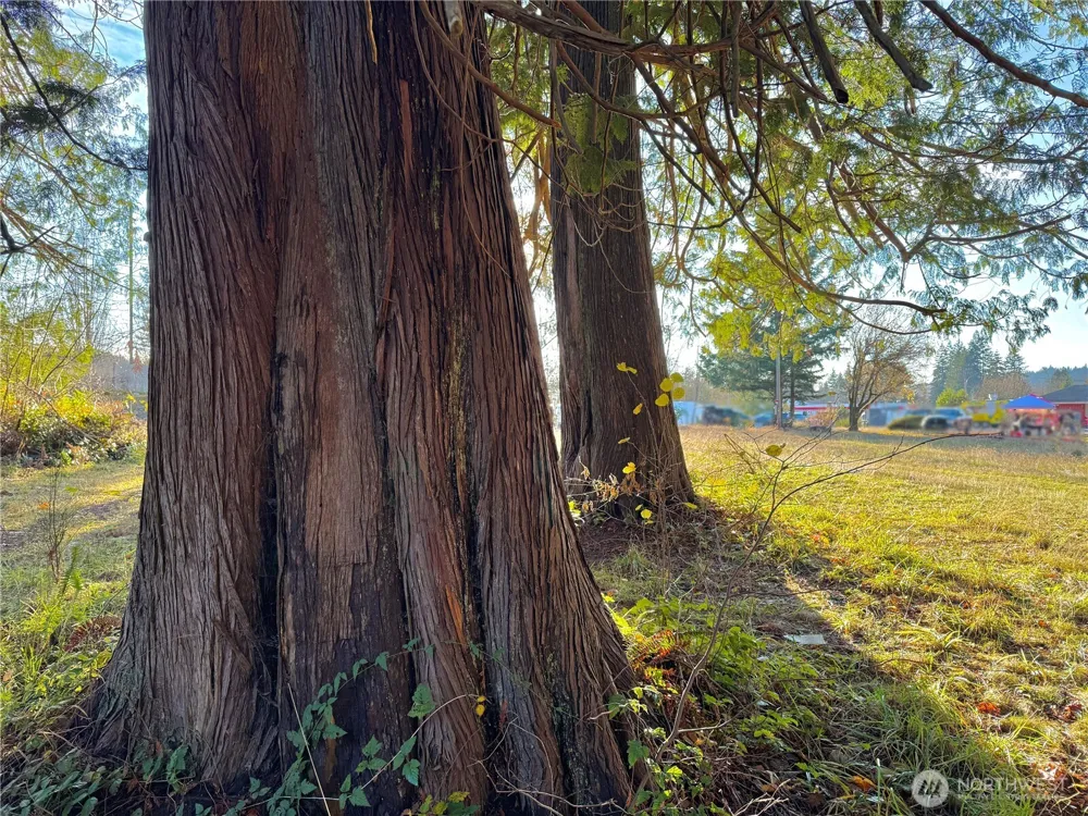25 NE Roy Boad Road Belfair, WA 98528