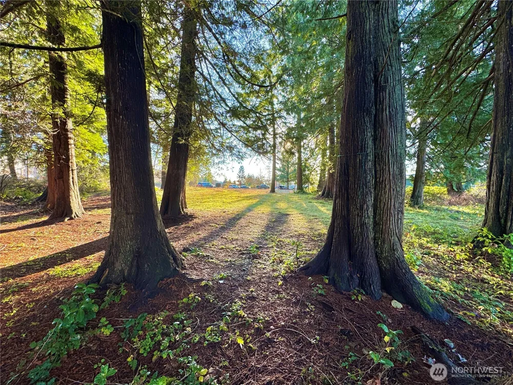 25 NE Roy Boad Road Belfair, WA 98528