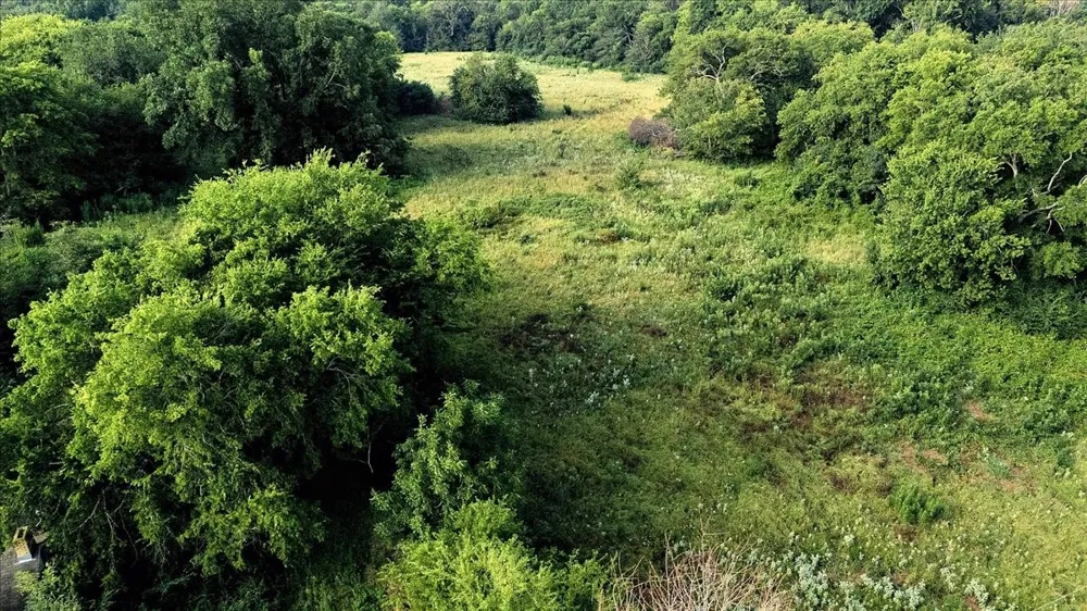 County Road 496 Lindale, TX 75771