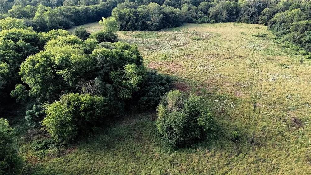 County Road 496 Lindale, TX 75771