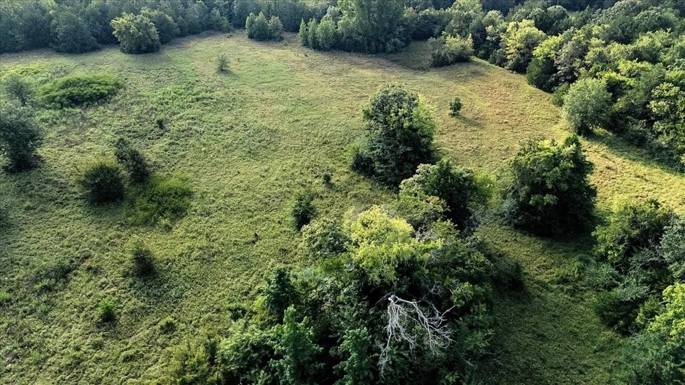 County Road 496 Lindale, TX 75771