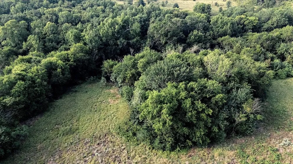 County Road 496 Lindale, TX 75771