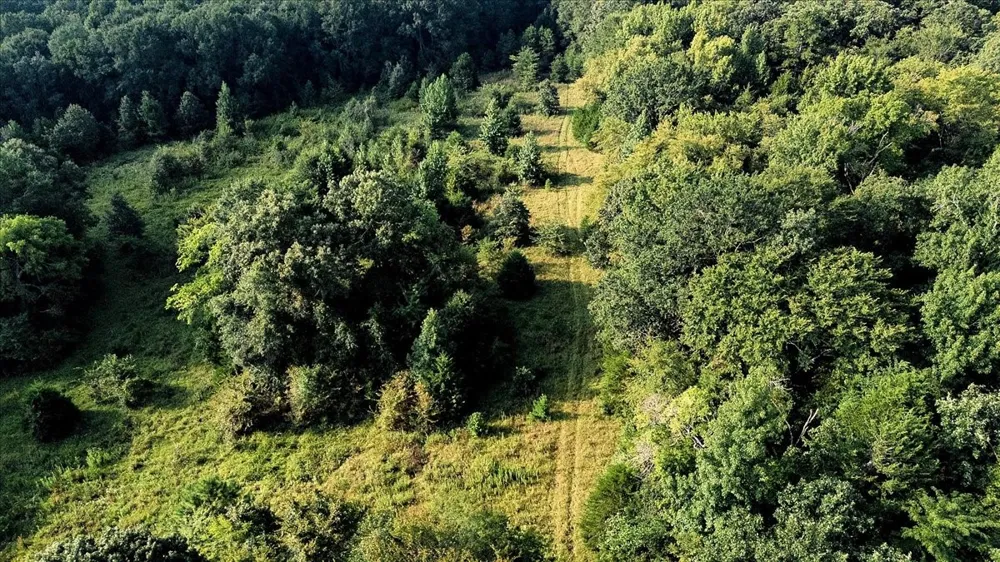 County Road 496 Lindale, TX 75771
