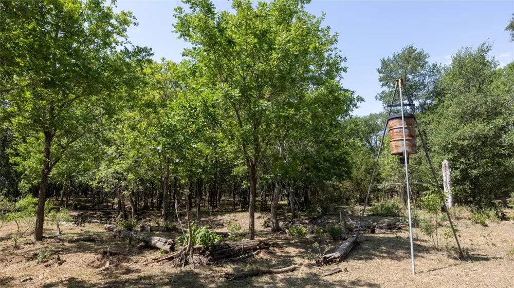 1400 Seminole Trail Dale, TX 78616