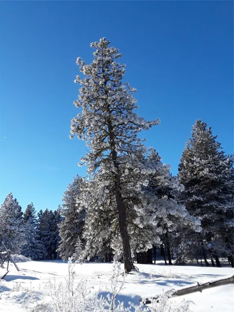 0 Muledeer Road