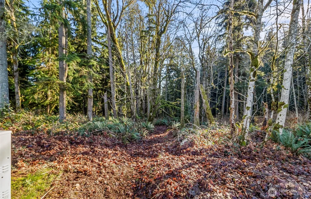 0 213th Avenue SE Snohomish, WA 98290