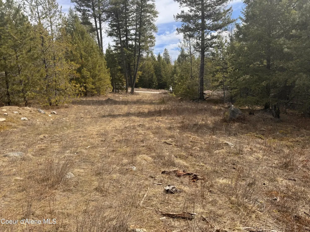 NKA E LOWLAND DRIVE Athol, ID 83801
