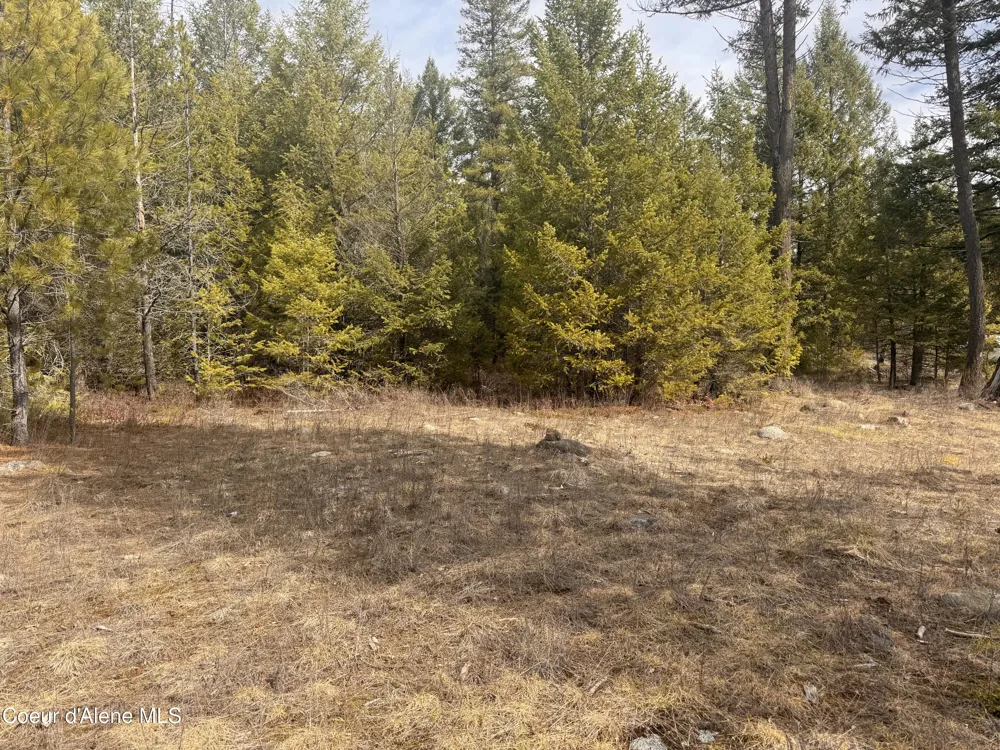 NKA E LOWLAND DRIVE Athol, ID 83801