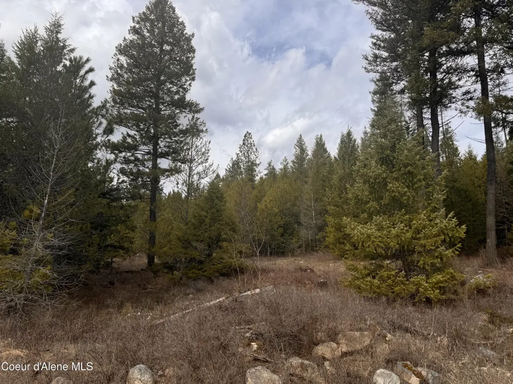 NKA E LOWLAND DRIVE Athol, ID 83801