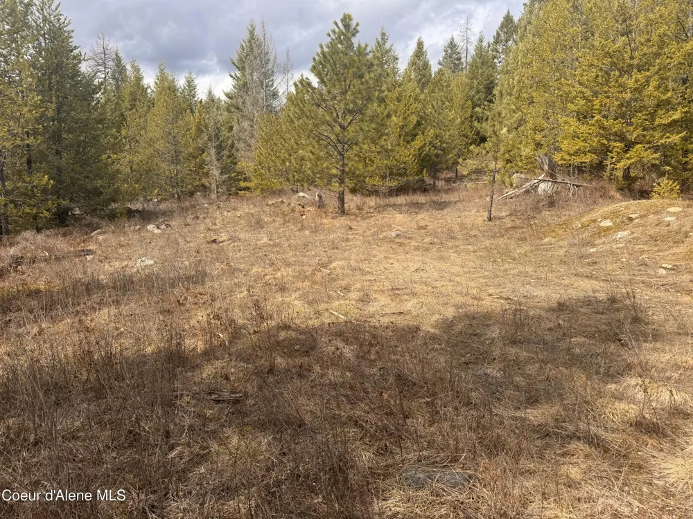 NKA E LOWLAND DRIVE Athol, ID 83801