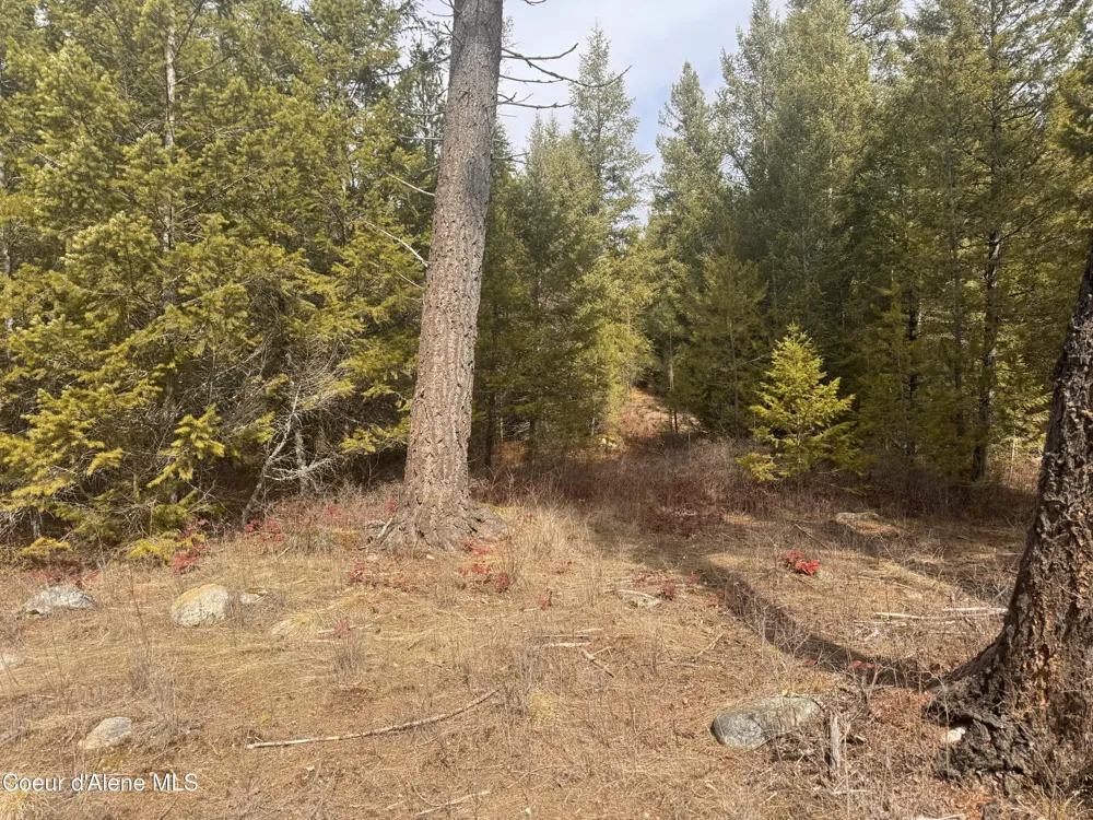 NKA E LOWLAND DRIVE Athol, ID 83801