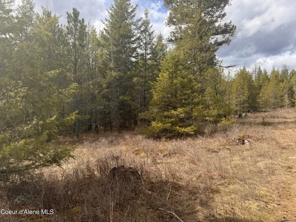 NKA E LOWLAND DRIVE Athol, ID 83801