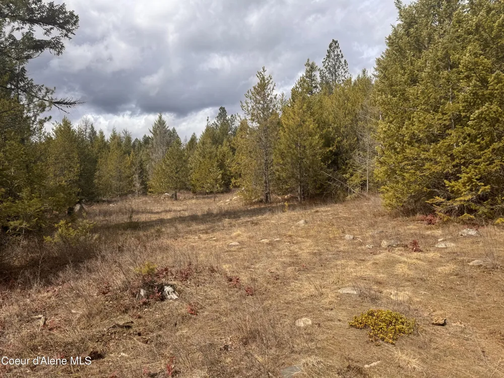 NKA E LOWLAND DRIVE Athol, ID 83801