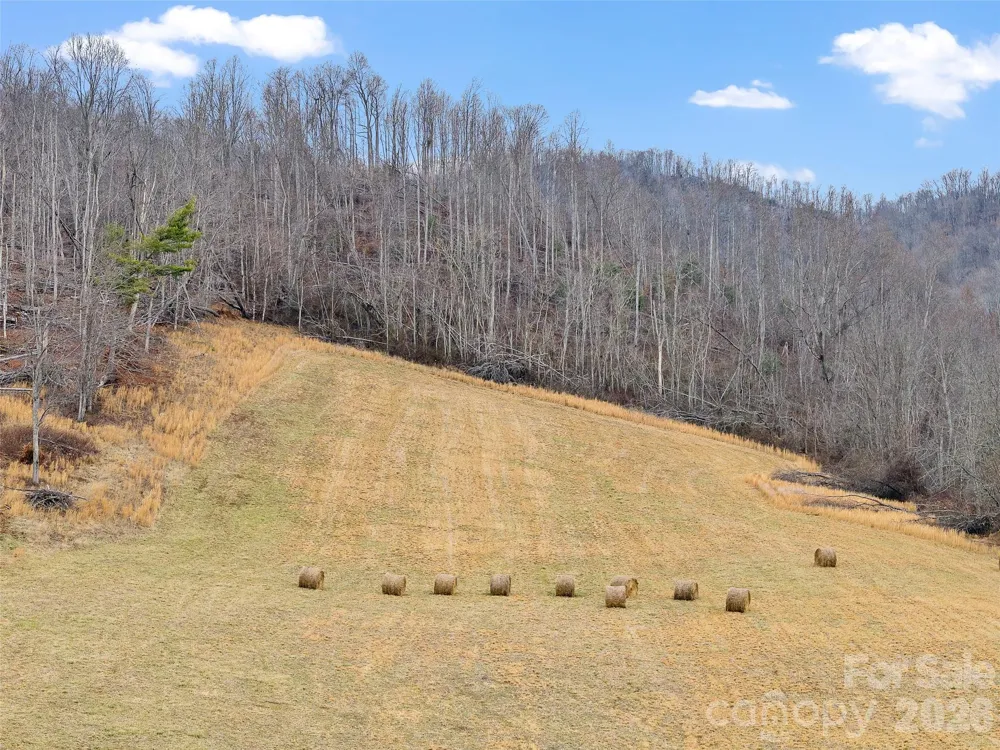 784 Green Young Cemetery Road Bakersville, NC 28705
