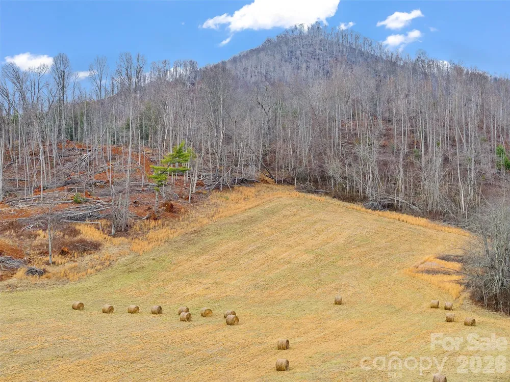 784 Green Young Cemetery Road Bakersville, NC 28705